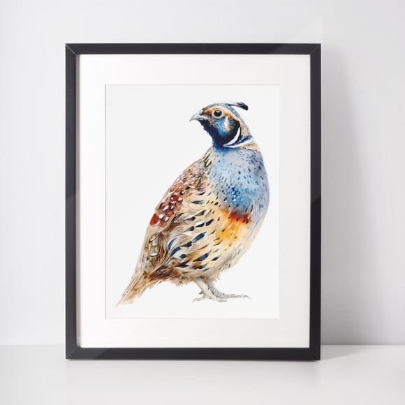 Watercolor Quail Wall Art Print, Unframed - Vibrant Nature-Inspired Home Decor - Picture 3 of 6